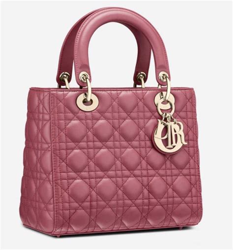 borsa mini dior|borse piccole eleganti.